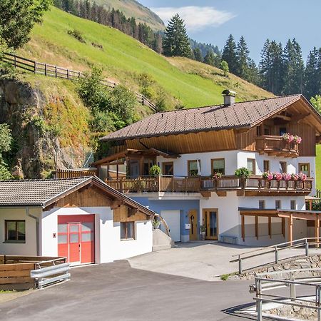 Appartement Gsaller Hopfgarten in Defereggen Kültér fotó